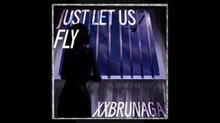 JUST LET US FLY 