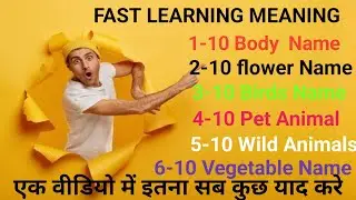 || Everything is Only One Video || Fast Learning Meaning @AReducation10 #youtube #trending #video 