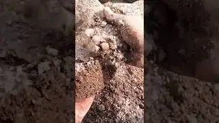 wet yellow💛CONCRETE dry floor crumble#sandcementasmr#satisfyingasmr#asmrshorts #concreteasmr#shorts