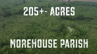 205+- Acres for Sale in Morehouse Parish, Louisiana (Big Deer Land for Sale)