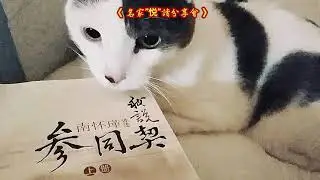 「國學大師」、南懷瑾《我說參同契》加療癒音樂