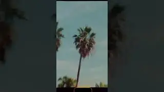 Spain captured on super 8 film 🎞️☀️ #super8 #film #analog #kodak #vision3 #motionpicture #onfilm