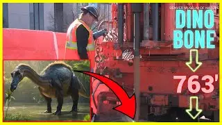 Dinosaur Bone Found Under Parking Lot of a Dino Museum (1 in a Million Chance)
