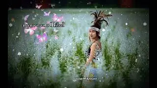 Simil Dingding Bibal Gibbok 