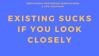 Why Existence Means Pain, and What to do About It  - Amsterdam Mindfulness and Life Coaching - E88