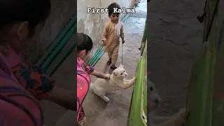 pehla kalma tayyab | 1st kalma | kids kalma #trendingvideo #kidsvideos #kids