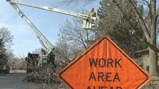 Winter Tree Trimming