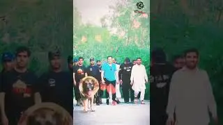 Mobile Editing Tutorial| Cinematic Imran Edit |CapCut Status Video Editing| Imran Khan Speech Edit