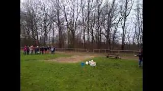 Blütenstaub-Feuerball