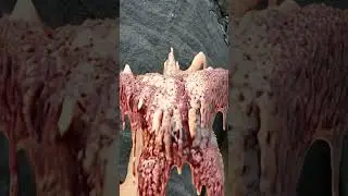 Starfish Melting! 🤯