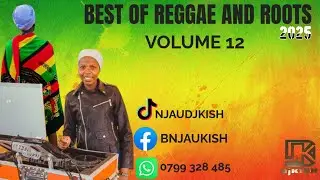 BEST OF REGGAE AND ROOTS VOLUME 12 | DJ KISH |VIDEO MIX || 2025