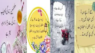 Urdu movited picture quotes||Best quotes in Urdu||dp Meaning Islamic quotes video #youtube