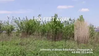 Solar Farm Sights and Sounds: Reality vs Disinformation