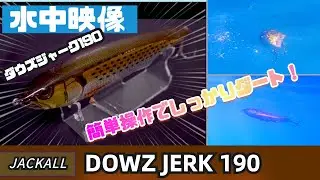【水中映像】ダウズジャーク190！簡単操作で、楽しいビッグベイトゲームができる！【シーバスルアー】【コノシロパターン】
