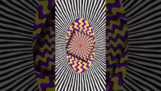 Can You Trust What You See? | Viral Mind Illusions 2025 👁️