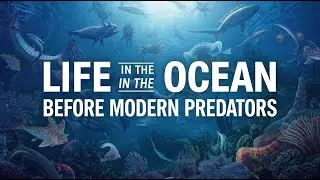 Life in the Ocean Before Modern Predators | Deep Sleep Story Film