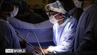 Fears a 'cancer epidemic' looms as COVID-19 disrupts the medical sector | The World