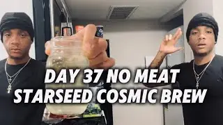 Day 37 No Meat | Starseed Cosmic Brew | Dandelion Tea 