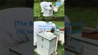Naked! 😳🐝 The Beehive, Revealed | Beekeeping