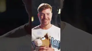MRBEAST RENTS ALL OF DISNEYLAND