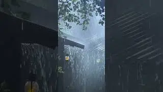 Rain Sounds For Sleeping #rain #insomnia #rainsounds #rainontheroof #shorts