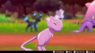 Lycanroc Runs Into A Wall, And Umbreon And Mew Check It Out