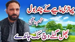 Phul Gamle Wich Suk Jande | Pahari Mahiya | Pahari Song | Gojri Pahari Song | Tabassum Wangathi