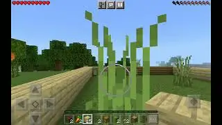 making our half underground house.