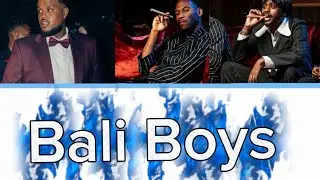 Bali boys - Bali boys (Chunkz, Kenny & Sharky) (colored lyrics) 