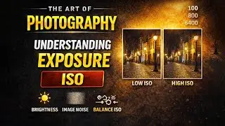 The Art of Photography &ndash; Understanding Exposure: ISO
