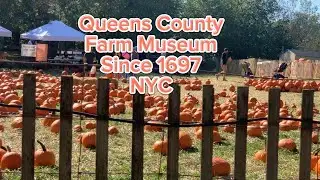 Queens County Farm Museum NYC tour 