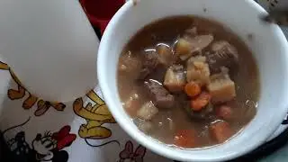 Presto Digital Electric Canner Eating Homemade Stew 