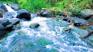 Soft River Water for Stress-Free Sleep