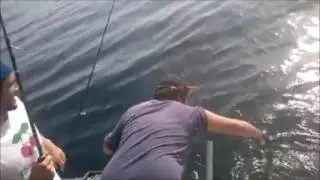 Os Pilados- Pesca embarcada Ericeira