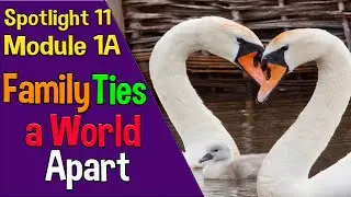 Spotlight 11 Модуль 1A. Family Ties a World Apart