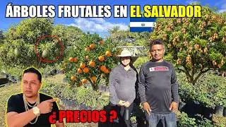 BUSCANDO LOS ÁRBOLES PARA NUESTRA NUEVA CASA😍