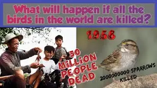 The Devastating Consequences of Bird Extinction: Lessons from China's Sparrow Massacre