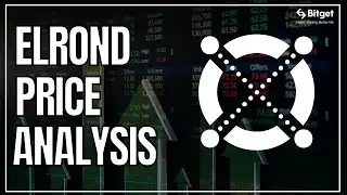 ELROND PRICE ANALYSIS - EGLD PRICE PREDICTION