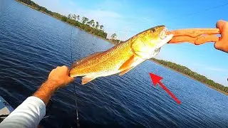 This Spot produces BEAUTIFUL Redfish! | Panama City Beach Flats
