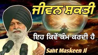 ਜੀਵਨ ਸ਼ਕਤੀ ਕੀ ਹੈ, ਇਹ ਕਿਵੇਂ ਕੰਮ ਕਰਦੀ ਹੈ। ਕਥਾ ਸੰਤ ਮਸਕੀਨ ਜੀ 