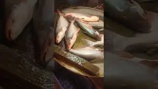 চৌরাস্তা মাছ বাজার #fish #animals #sarbebhabantusukhinah #wildlife #birds #fishing #beautiful