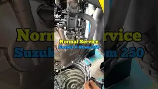Normal Service - Suzuki V-Strom 250 #asmr #premiumsportcycles #psc #vstrom #youtube #short #fyp
