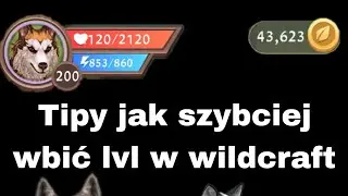 ✨TIPY NA SZYBKIE WBIJANIE LVL W WILDCRAFT✨