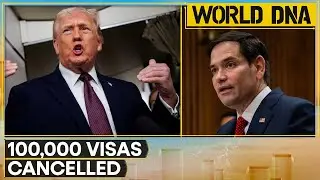 US Revokes Over 100,000 Visas as Trump Tightens Immigration Crackdown | WION