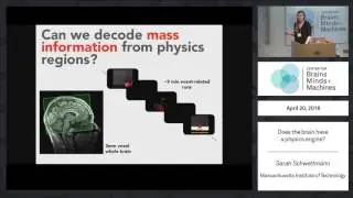 Does the brain have a physics engine?