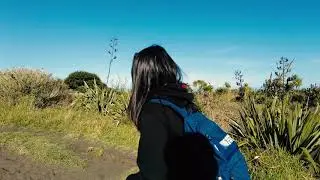 Omanawanui Track in West Auckland