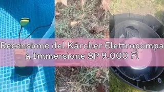 Recensione del K&auml;rcher Elettropompa a Immersione SP 9.000 Flat ad Aspirazione Piatta, Portata 9.000