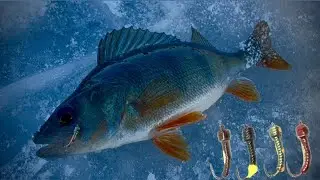 ЛЕСОТКА-БЕЗМОТИЛКА ЯКА ЛОВИТЬ ЗАВЖДИ|РИБАЛКАНА ОКУНЯ З КРИГИ 2026❄️