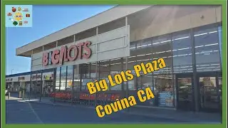 Big Lots Plaza Covina CA LA Shopping Center Pasha Market Oasis Grill Fresh Bakery Covina Town Square