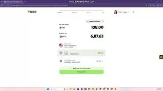 Wise Pay for Freelancers and Clients